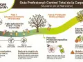Guía para controlar la carpocapsa (gusano de la manzana) con tratamientos preventivos en invierno y protección activa en floración.